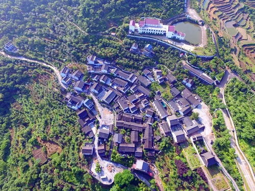 嵊州新昌人常去的免费宝地，如今荣膺国家4A级景区