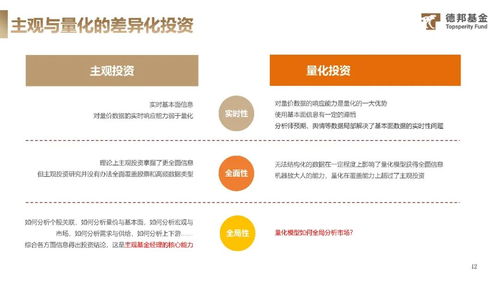 李荣兴 量化投资与差异化配置在实业投资中的应用