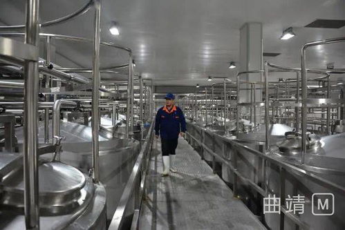 陆良2.8亿投资项目顺利进入试生产阶段，区域经济迎来发展新动能