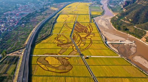 政府工作报告解读 旅游景点建设与运营的创新路径与发展趋势